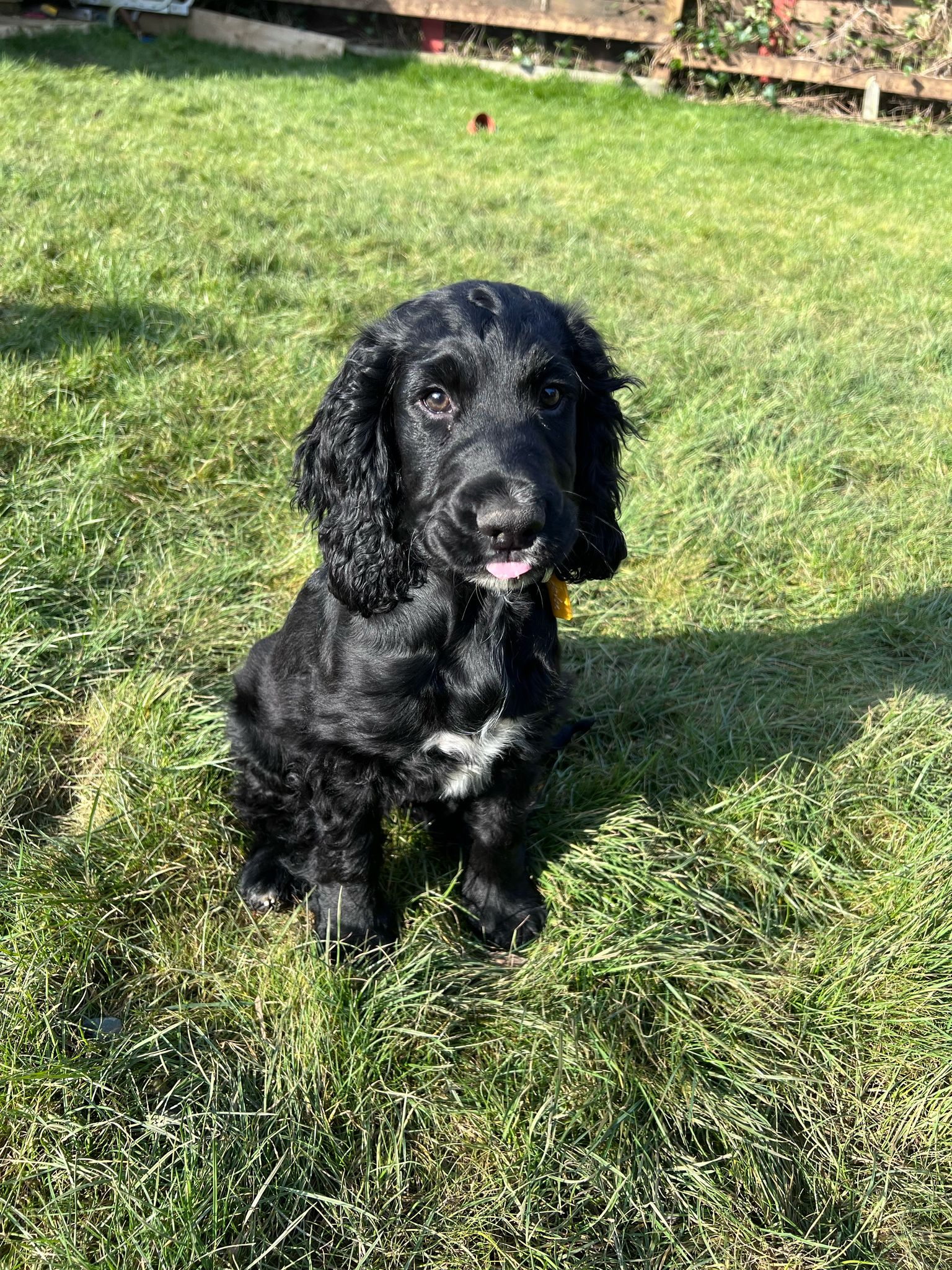 Friendly chat with a homeowner after a job